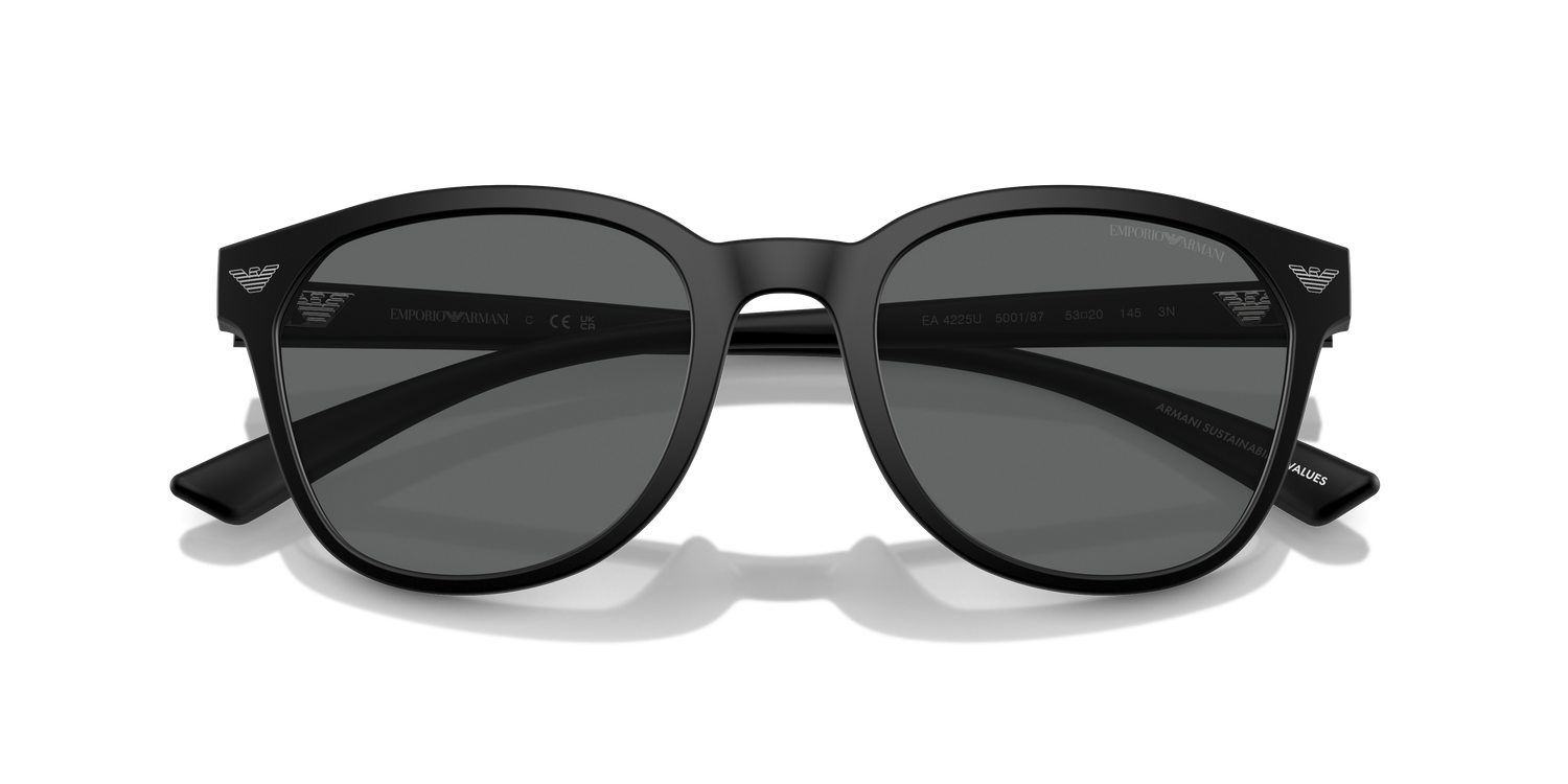 EMPORIO ARMANI EA4225U 500187 53 - 21