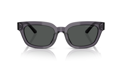 EMPORIO ARMANI EA4233U 610687 53