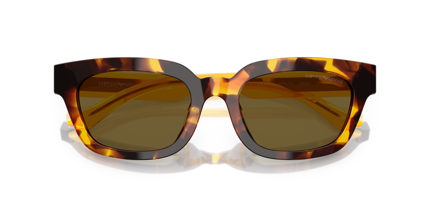 EMPORIO ARMANI EA4233U 618173 53