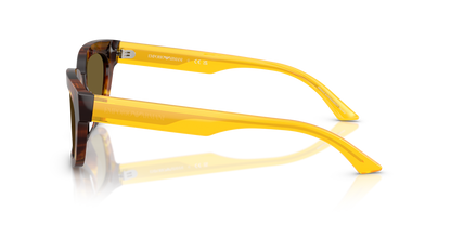 EMPORIO ARMANI EA4233U 618173 53