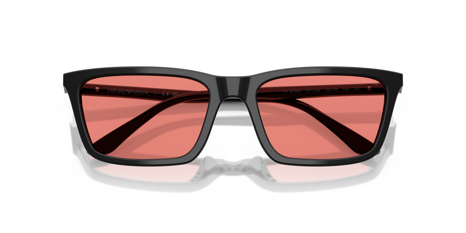 EMPORIO ARMANI EA4239U 501784 55