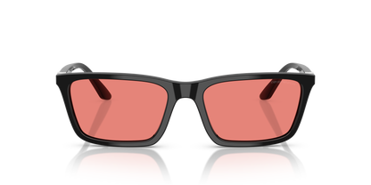 EMPORIO ARMANI EA4239U 501784 55