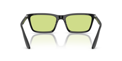 EMPORIO ARMANI EA4239U 5017/2 55