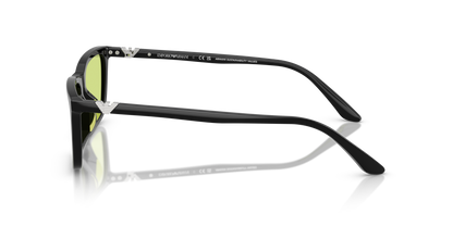 EMPORIO ARMANI EA4239U 5017/2 55