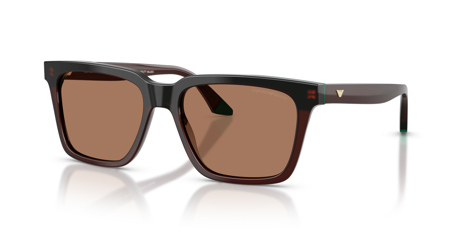 EMPORIO ARMANI EA4260 631573 55