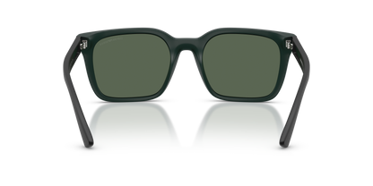 EMPORIO ARMANI EA4269 637071 54