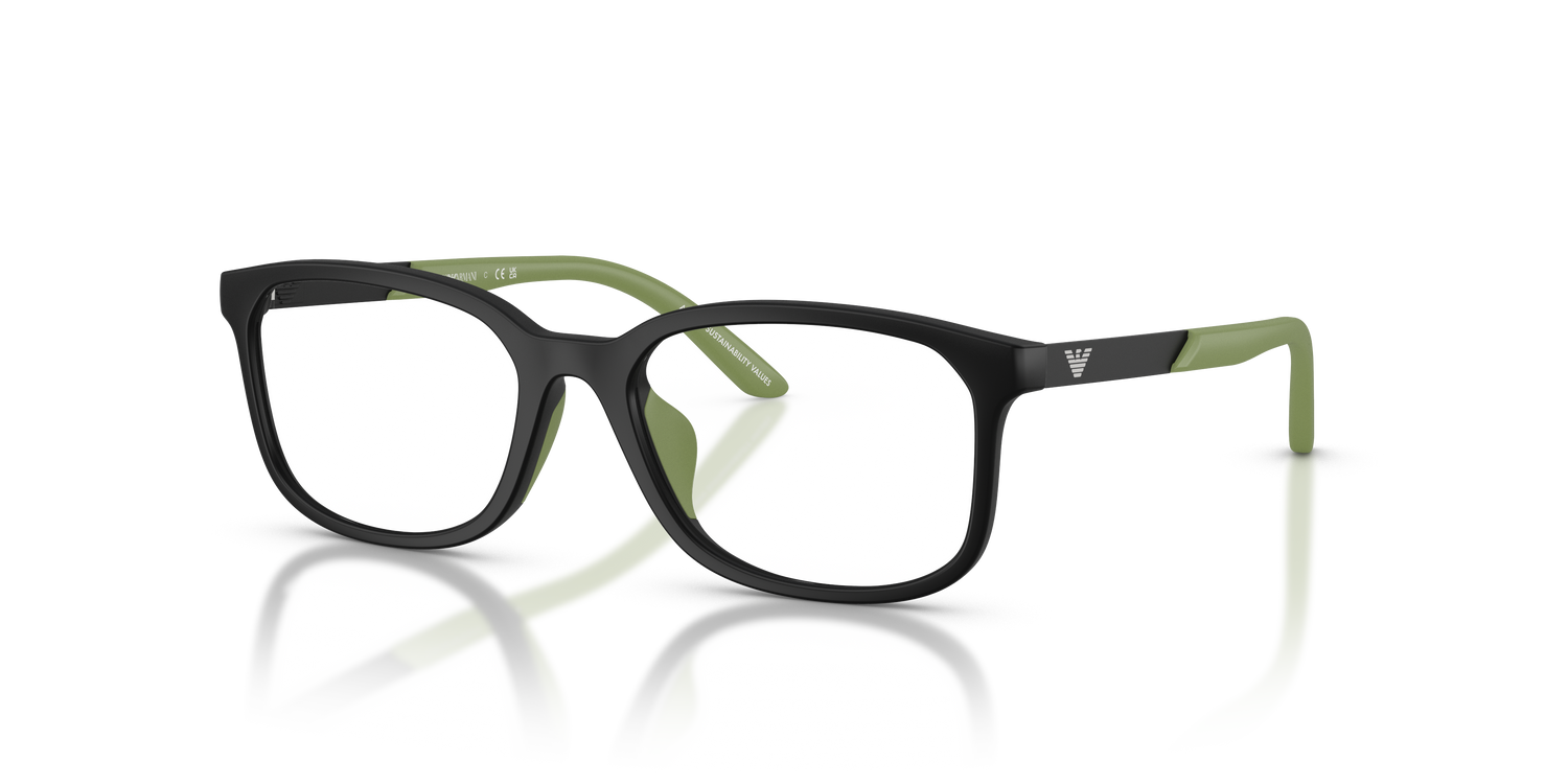 EMPORIO ARMANI EK3008U 5001 49