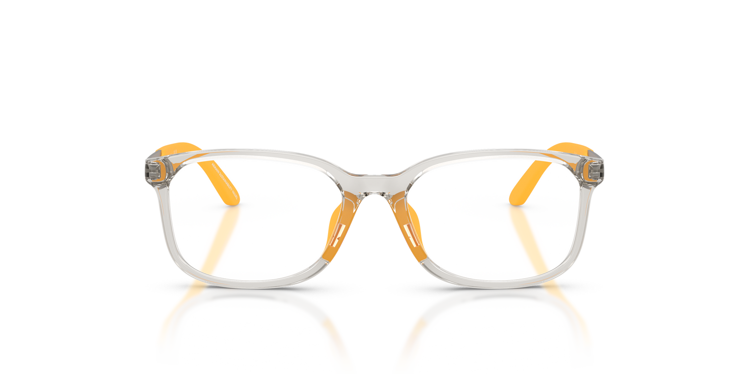 EMPORIO ARMANI EK3008U 6279 47