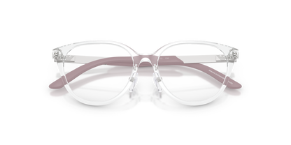 EMPORIO ARMANI EK3010 5893 48