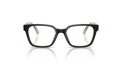 EMPORIO ARMANI EK3013U 6381 48