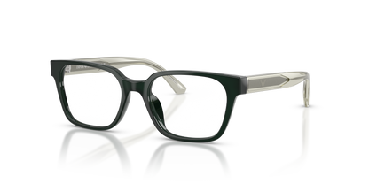 EMPORIO ARMANI EK3013U 6381 48