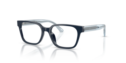 EMPORIO ARMANI EK3013U 6382 48