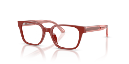EMPORIO ARMANI EK3013U 6385 46