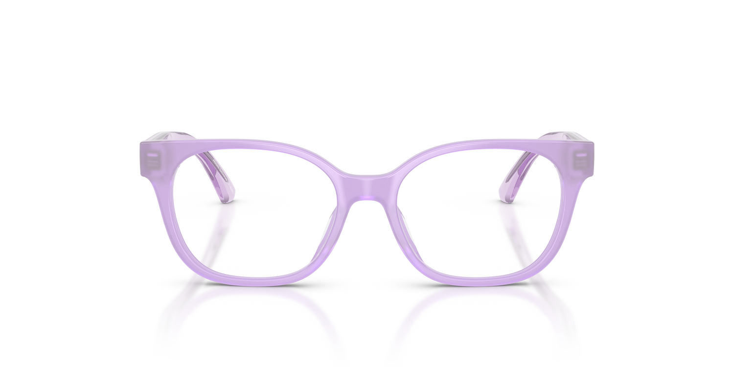 EMPORIO ARMANI EK3014U 6388 48