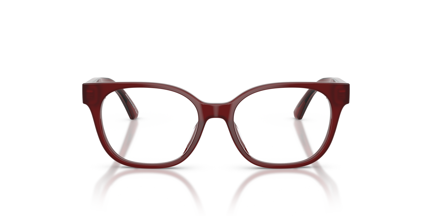 EMPORIO ARMANI EK3014U 6389 48