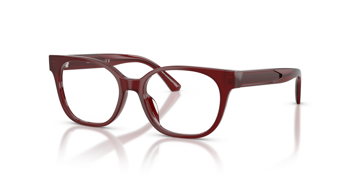 EMPORIO ARMANI EK3014U 6389 48