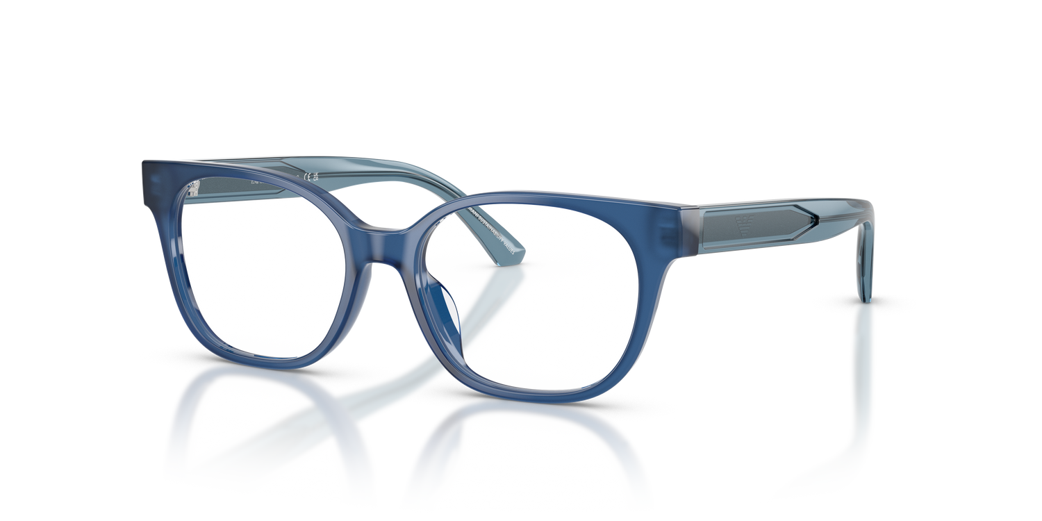 EMPORIO ARMANI EK3014U 6390 46