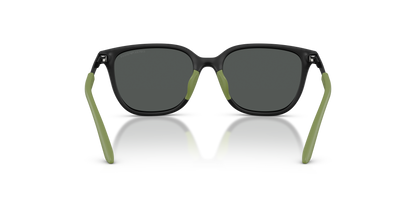 EMPORIO ARMANI EK4006U 500187 49