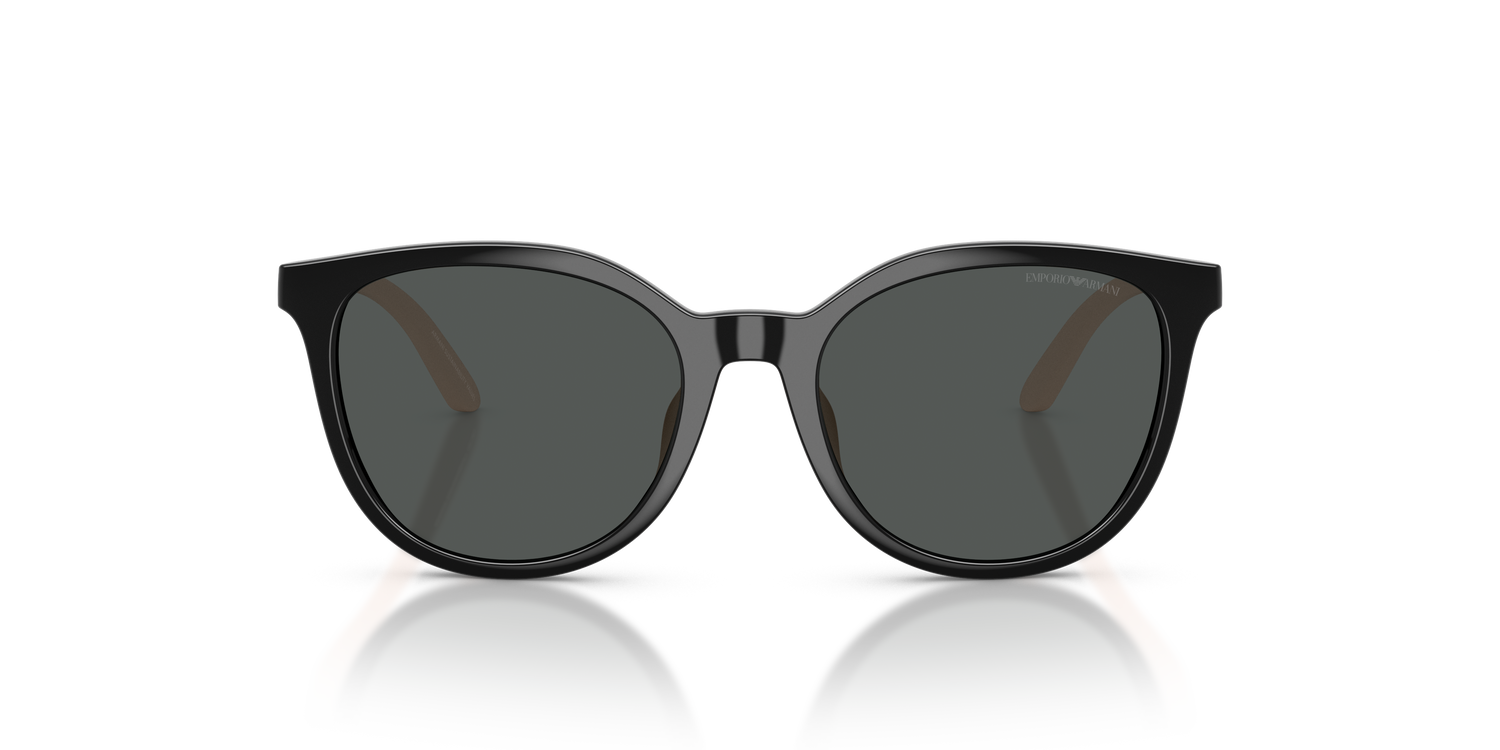 EMPORIO ARMANI EK4007U 501787 49