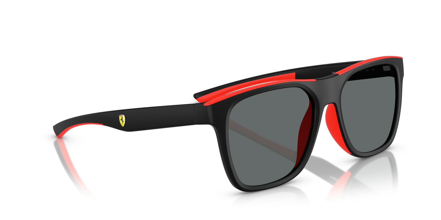 FERRARI SCUDERIA FZ6013D 504/81 57