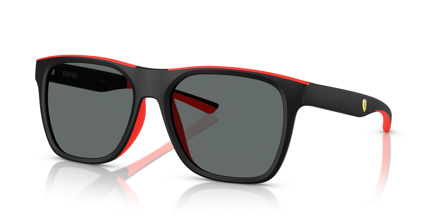 FERRARI SCUDERIA FZ6013D 504/81 57