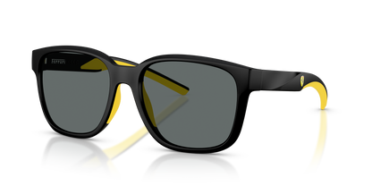 FERRARI SCUDERIA FZ6019D 504/81 56