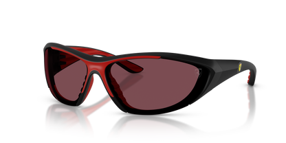 FERRARI SCUDERIA FZ6029U 504/1E 73