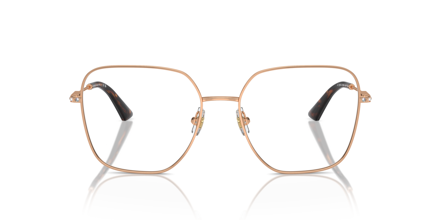 JIMMY CHOO JC2001B 3008 53