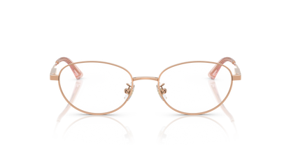 JIMMY CHOO JC2009D 3008 51