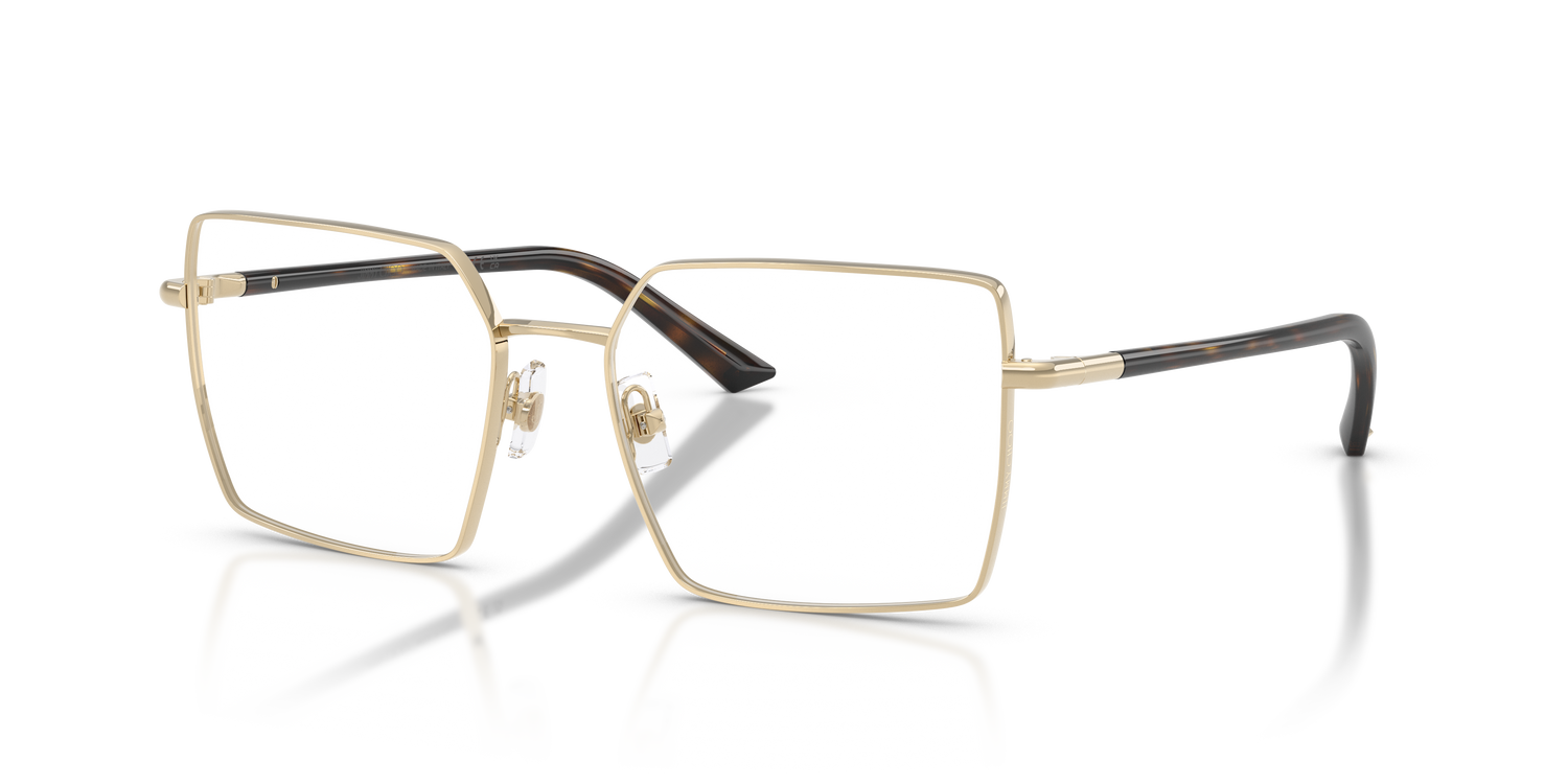 JIMMY CHOO JC2022 3017 55