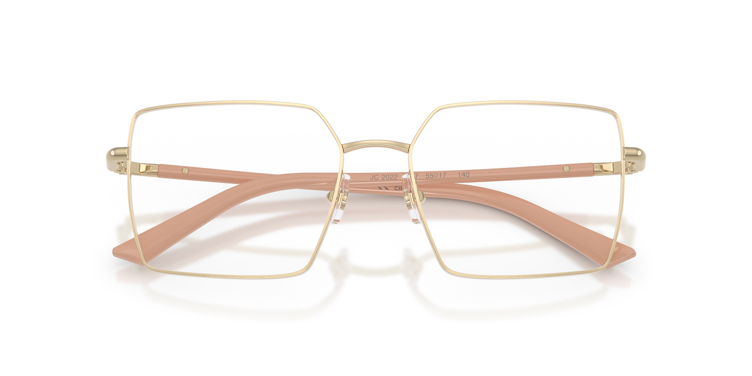 JIMMY CHOO JC2022 3027 55