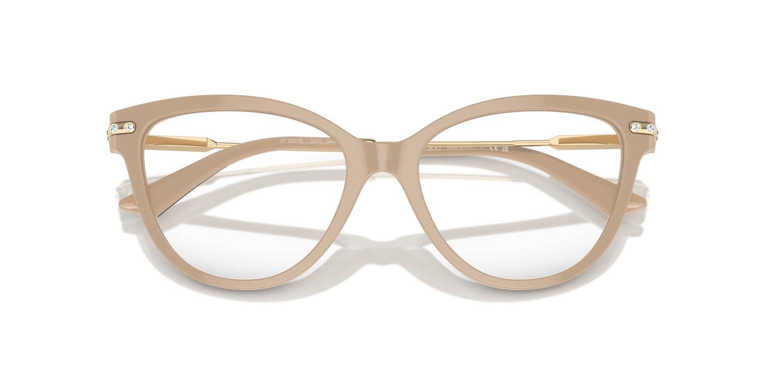 JIMMY CHOO JC3001B 5015 54