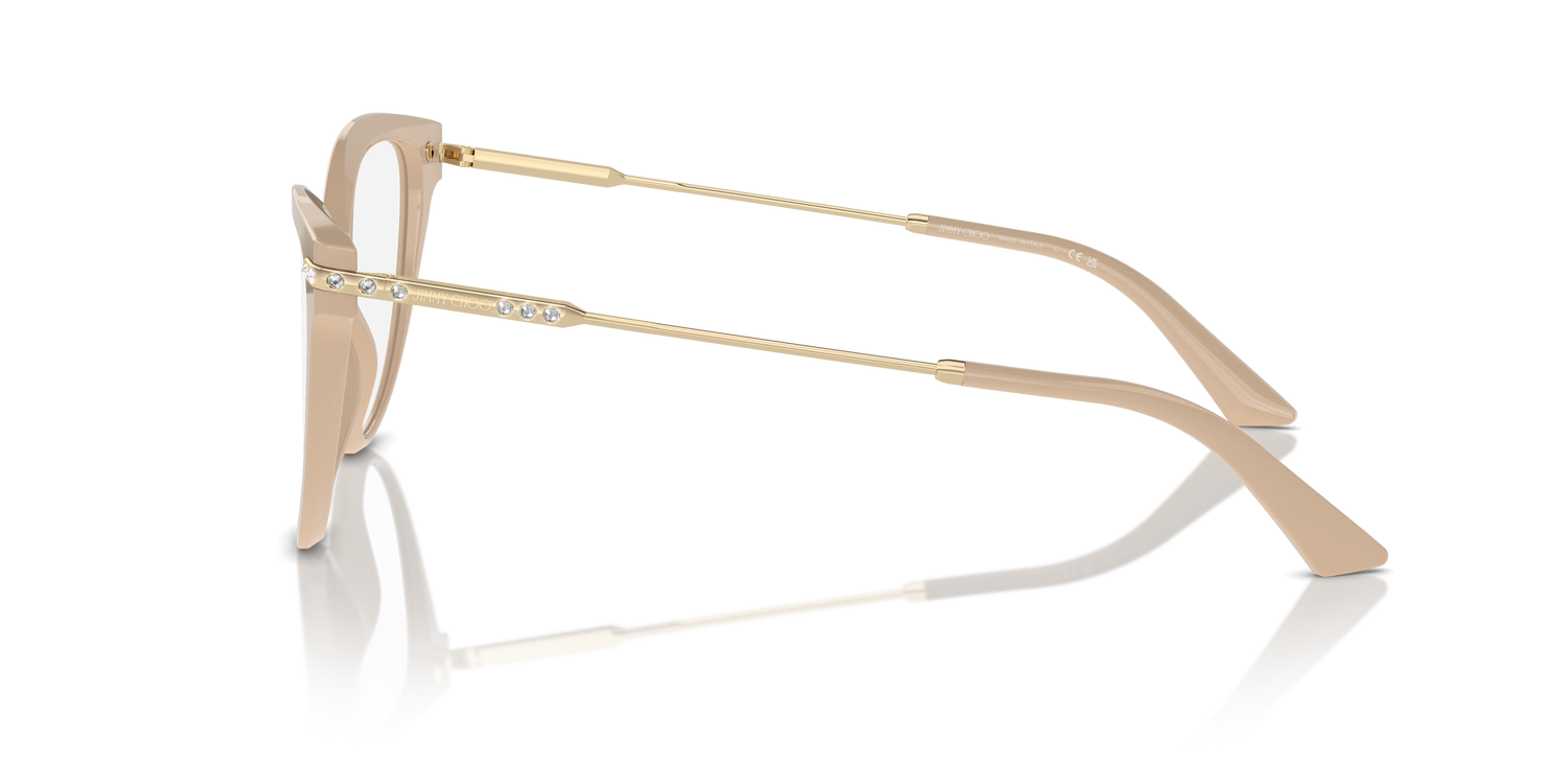 JIMMY CHOO JC3001B 5015 54