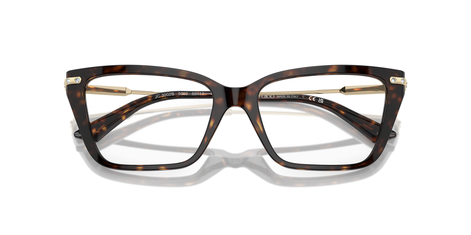 JIMMY CHOO JC3002B 5002 55