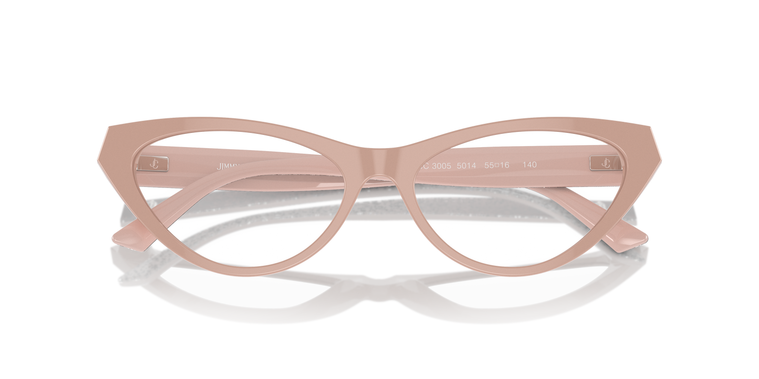 JIMMY CHOO JC3005 5014 55