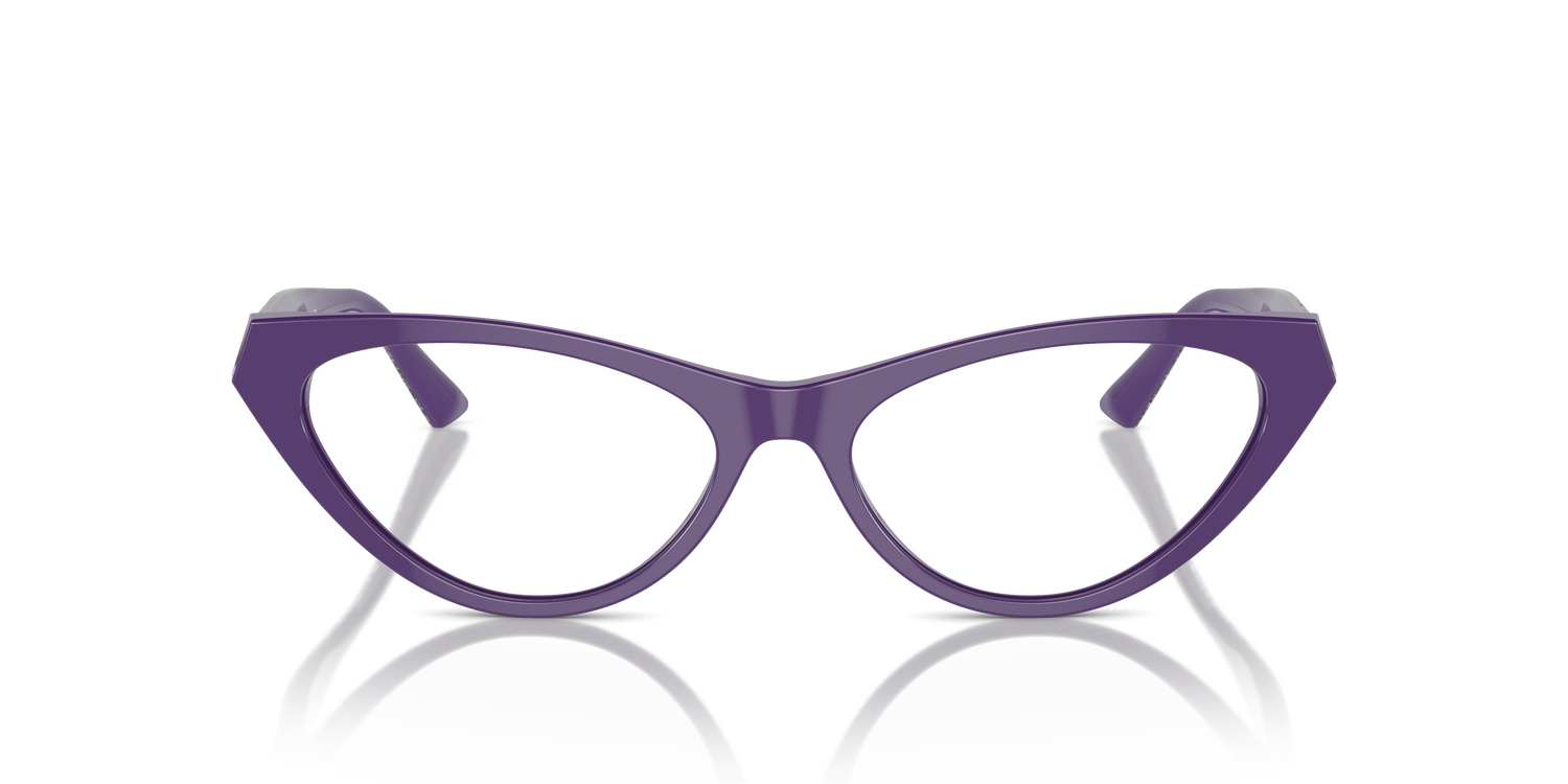 JIMMY CHOO JC3005 5050 55