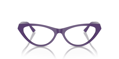 JIMMY CHOO JC3005 5050 55