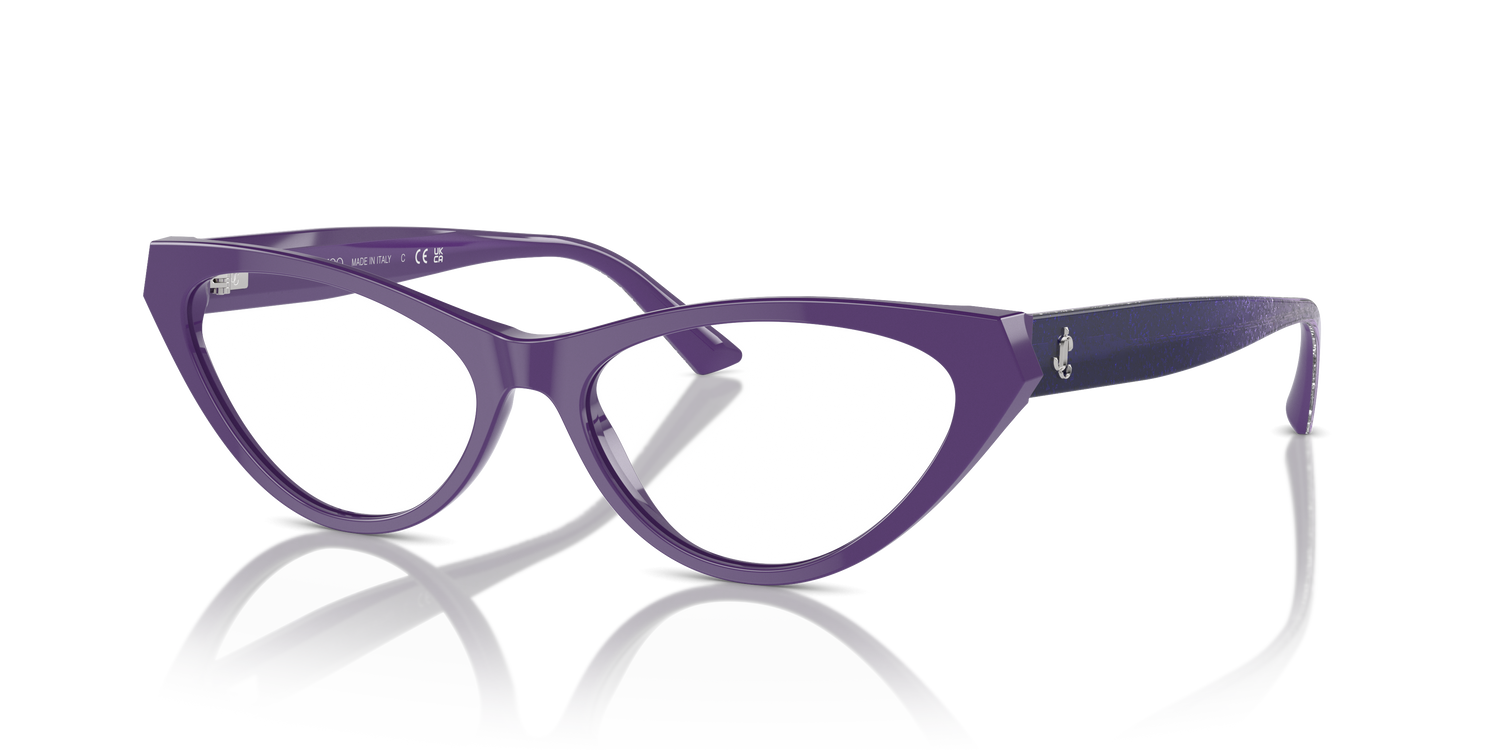 JIMMY CHOO JC3005 5050 55