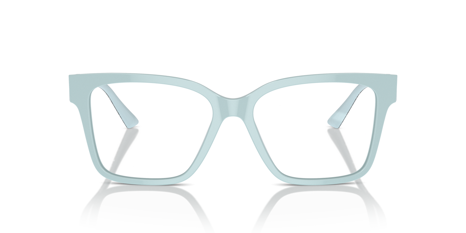 JIMMY CHOO JC3006U 5009 55