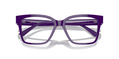 JIMMY CHOO JC3006U 5050 55