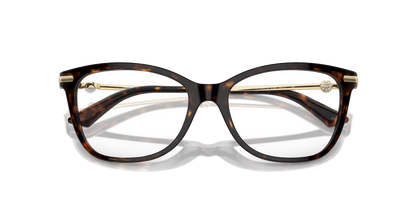 JIMMY CHOO JC3007HB 5002 54