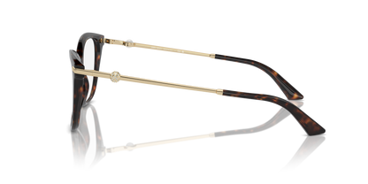 JIMMY CHOO JC3007HB 5002 52