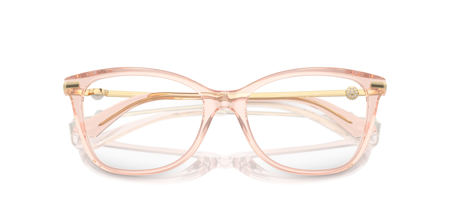 JIMMY CHOO JC3007HB 5034 54