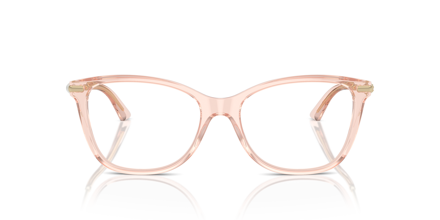 JIMMY CHOO JC3007HB 5034 52