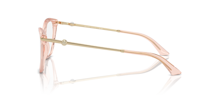 JIMMY CHOO JC3007HB 5034 52