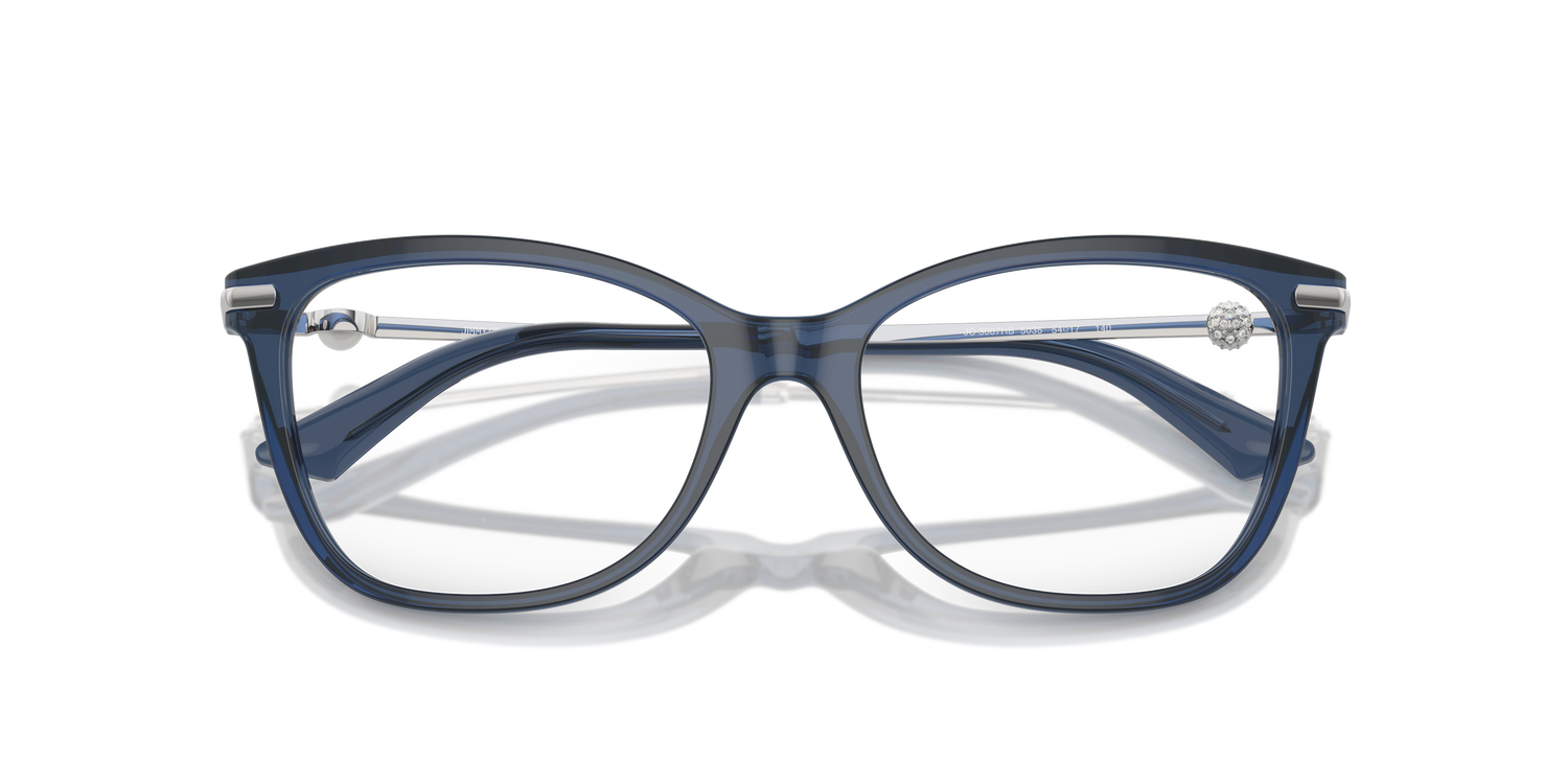 JIMMY CHOO JC3007HB 5035 52