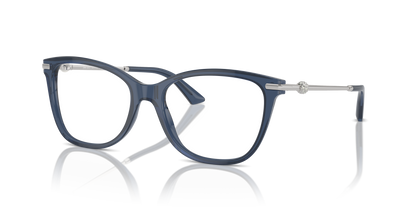 JIMMY CHOO JC3007HB 5035 54