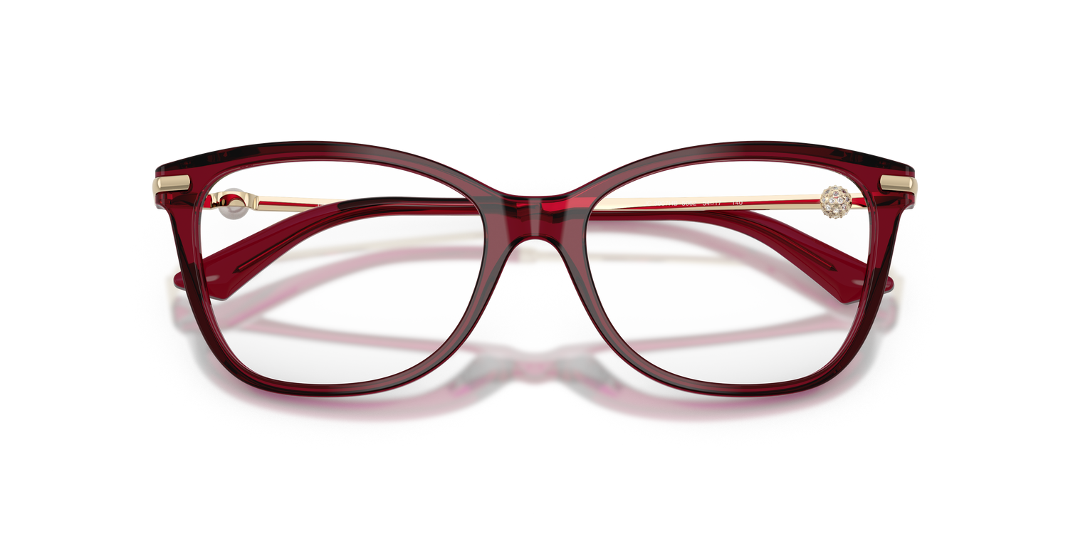 JIMMY CHOO JC3007HB 5062 52