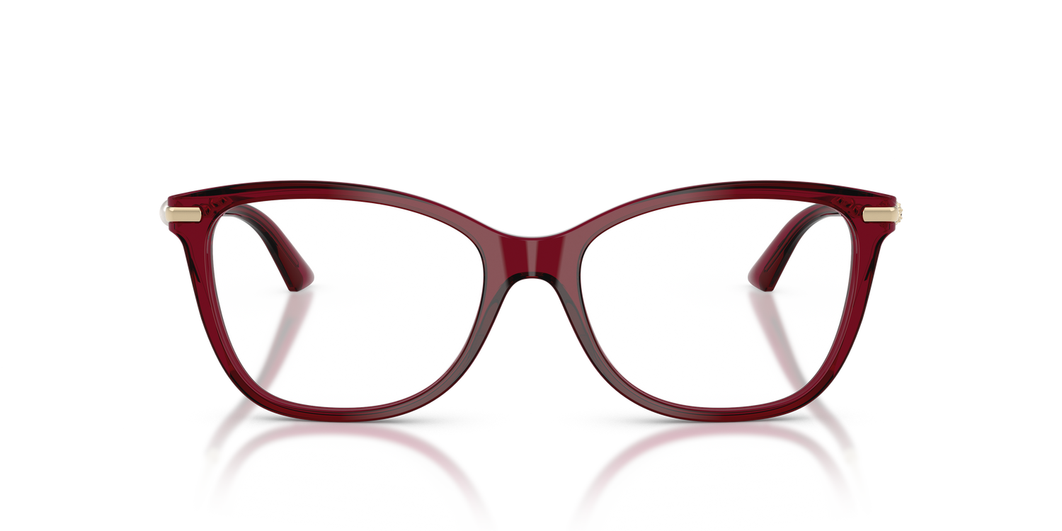 JIMMY CHOO JC3007HB 5062 52