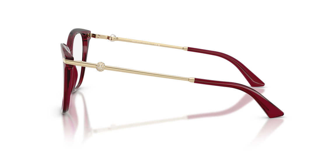 JIMMY CHOO JC3007HB 5062 52